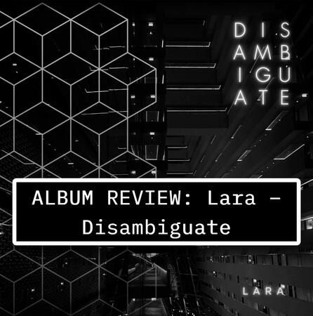 disambiguate album review